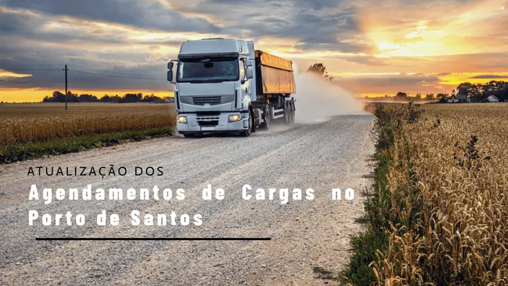 Atualização dos Agendamentos de Cargas no Porto de Santos